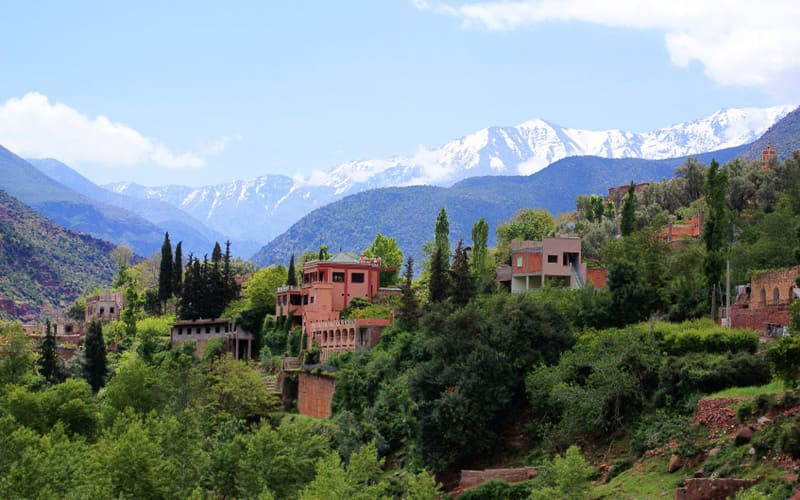 day trip from marrakech to ourika valley